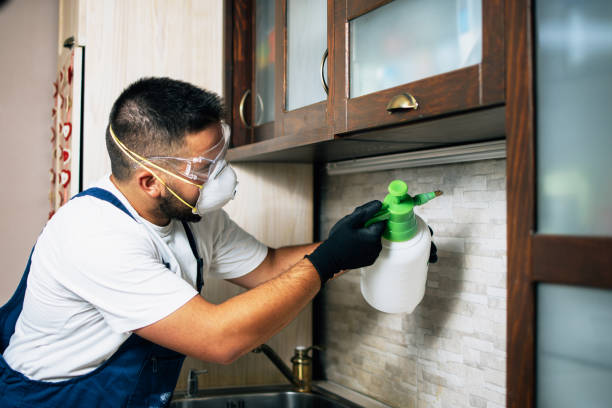 Best Wasp Removal Services  in Oakland, FL