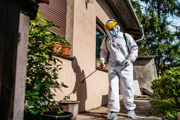 Best Termite Control Services  in Oakland, FL