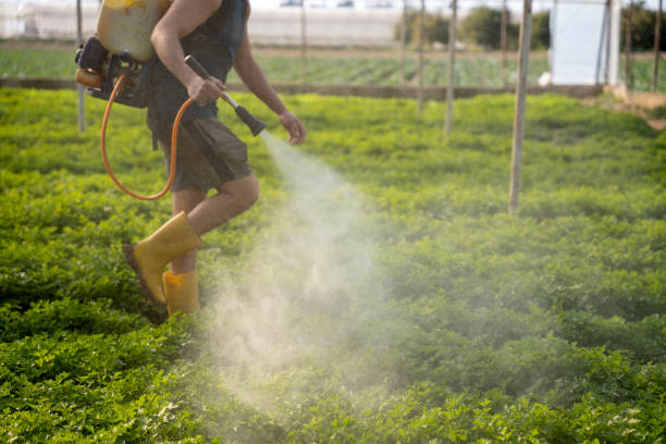 Reliable Oakland, FL Pest Control Solutions