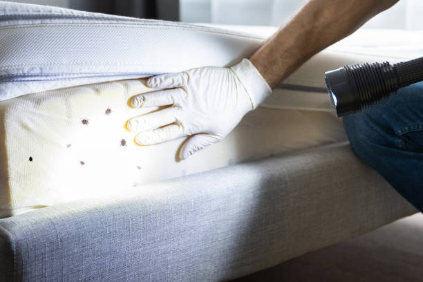 Best Bed Bug Extermination  in Oakland, FL
