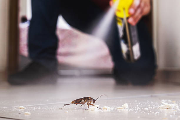 Best Emergency Pest Control  in Oakland, FL