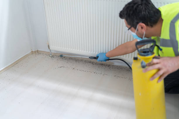 Best Best Pest Control Companies  in Oakland, FL