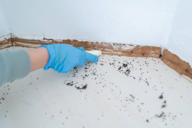 Best Pest Removal Services  in Oakland, FL
